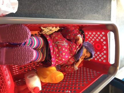Greta in the Target Cart